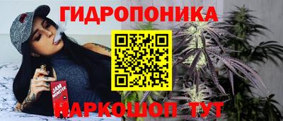 PSILOCYBIN Канаш