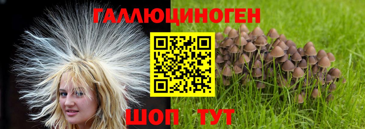 Псилоцибиновые грибы мухоморы Ликино-Дулёво