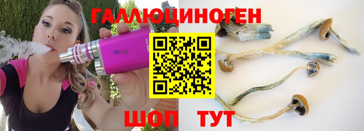 Псилоцибиновые грибы Psilocybe  купить закладку  Ликино-Дулёво  Вход с VPN 